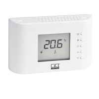 Remko RR-21.2 Präzisions-Raumtemperatur-Regelung