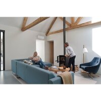 Daikin Wandgerät Perfera Cold Region 3,0 kW -...