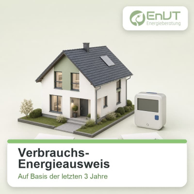 Verbrauchs Energieausweis