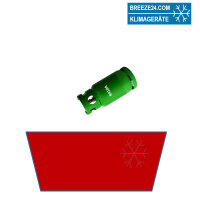 Entsorgungskosten altes Kältemittel je Kg