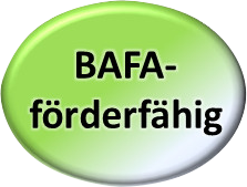 BAFA-Förderung
